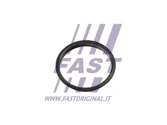 Vakuuminio siurblio tarpinė FAST FT49853