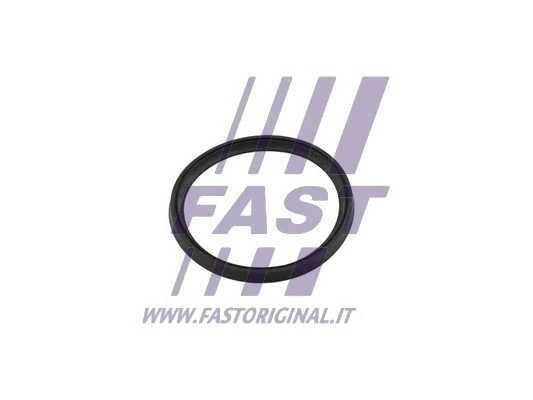 Užpildytuvo tarpinė FAST FT49854