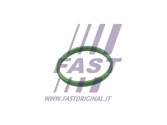 Alyvos išleidimo kaiščio tarpinė FAST FT49855