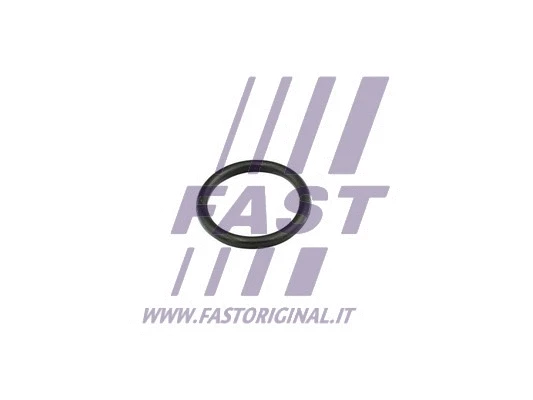 Aušinimo skysčio flanšo tarpinė FAST FT49856