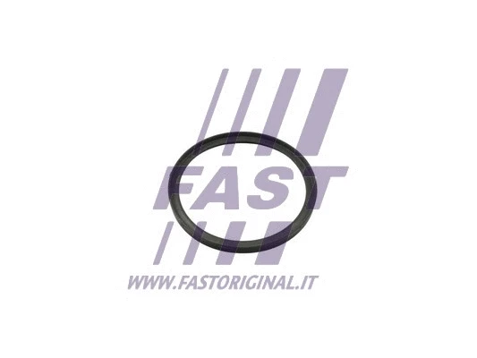 Užpildytuvo tarpinė FAST FT49857