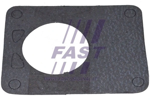 Vakuuminio siurblio tarpinė FAST FT49901