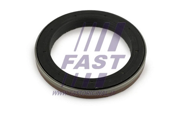 Mechaninės transmisijos veleno sandariklis FAST FT49910