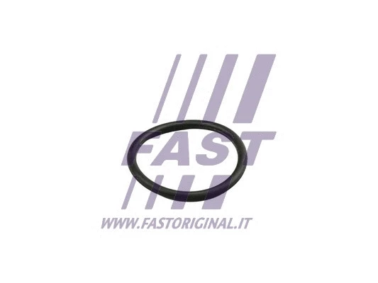Aušinimo skysčio vamzdelio tarpinė FAST FT49919