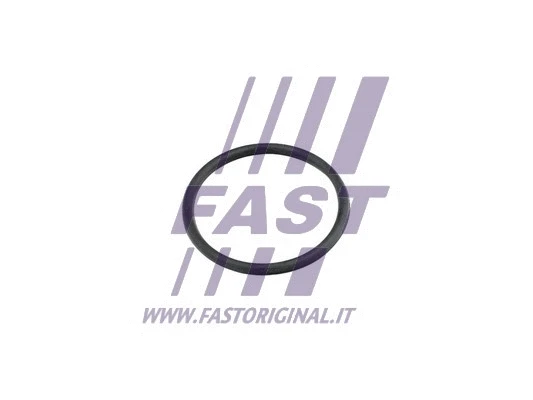 Aušinimo skysčio vamzdelio tarpinė FAST FT49920
