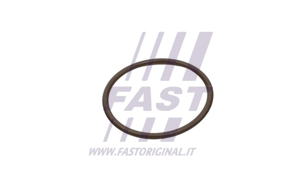 Turbinos oro žarnos tarpinė FAST FT49933