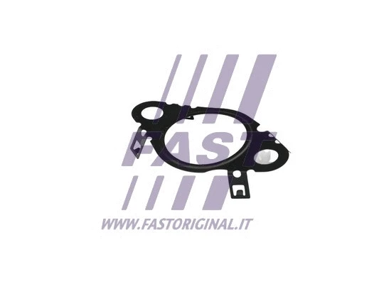 EGR vožtuvo tarpinė FAST FT50604