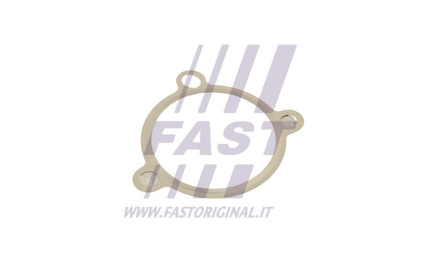 EGR vožtuvo tarpinė FAST FT50605