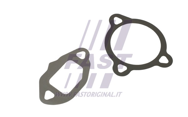 AGR sistemos tarpinių rinkinys FAST FT50606