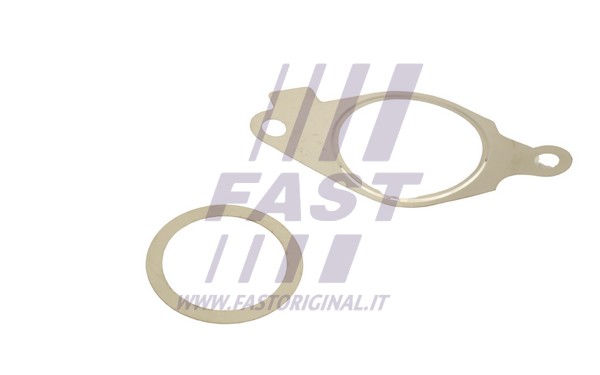 AGR sistemos tarpinių rinkinys FAST FT50614