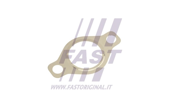 EGR vožtuvo tarpinė FAST FT50618