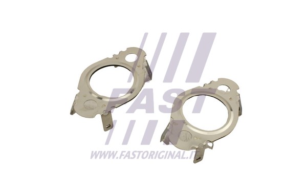 EGR vožtuvo tarpinė FAST FT50620