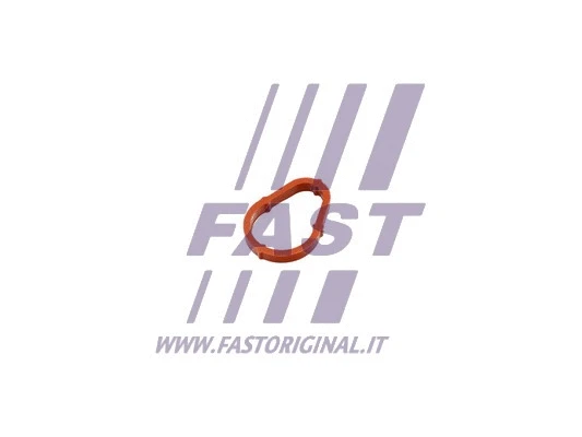 Vakuuminio siurblio tarpinė FAST FT50702