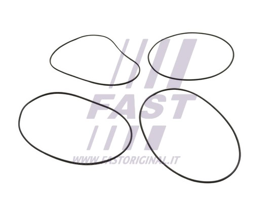 Cilindro sraigtinės įvorės O žiedų komplektas FAST FT50751
