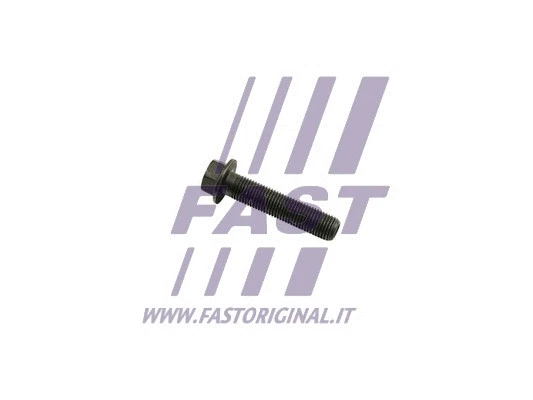 Švaistiklio varžtas FAST FT51651