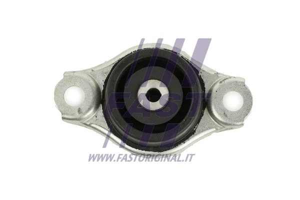 Variklio montavimas FAST FT52529