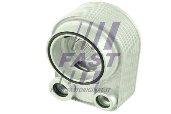 Variklio alyvos aušintuvas FAST FT55207