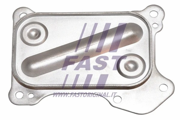 Variklio alyvos aušintuvas FAST FT55261