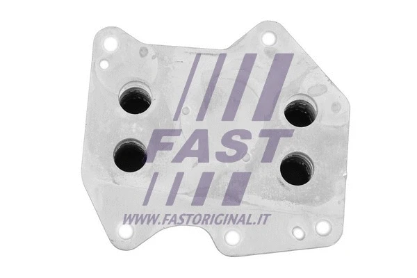 Variklio alyvos aušintuvas FAST FT55276