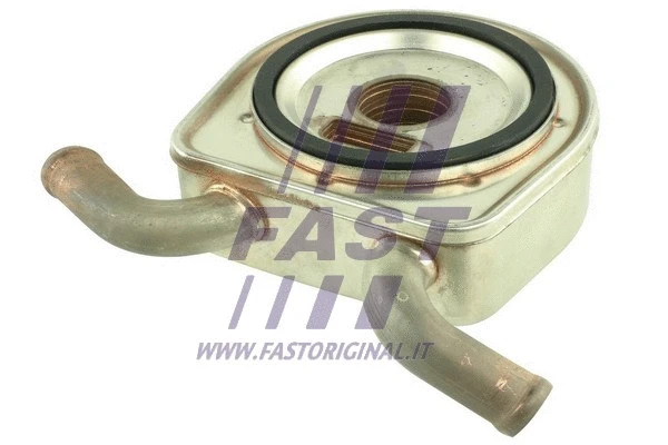 Variklio alyvos aušintuvas FAST FT55401