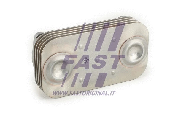 Variklio alyvos aušintuvas FAST FT55412