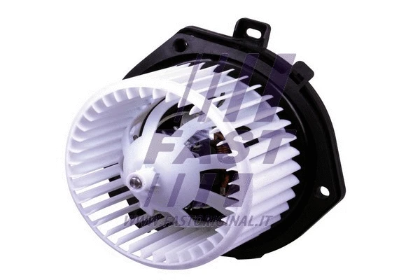 Vidaus putiklis FAST FT56166
