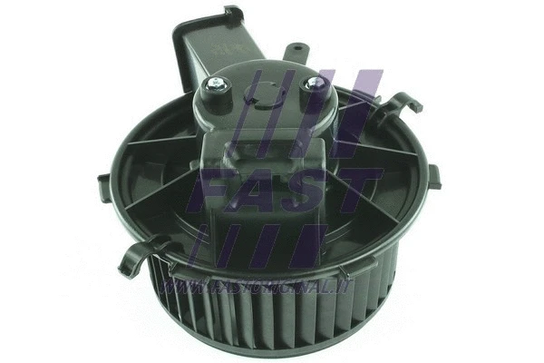 Vidaus putiklis FAST FT56532