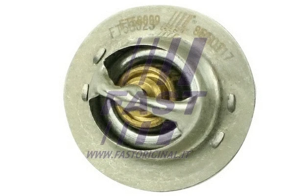 Termostatas FAST FT58009
