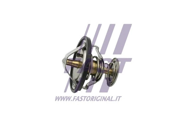 Termostatas FAST FT58083