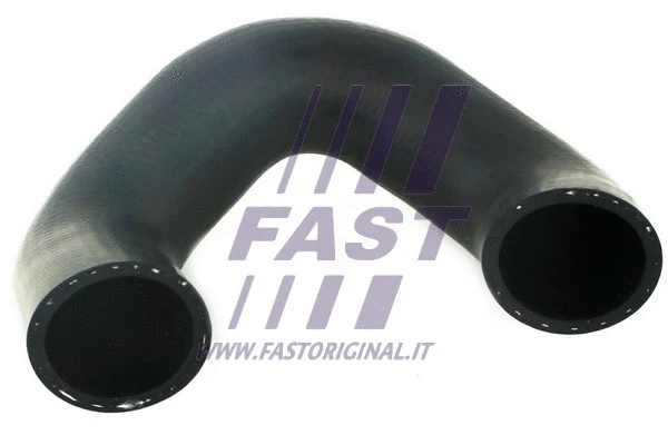 Radiatoriaus žarna FAST FT61660