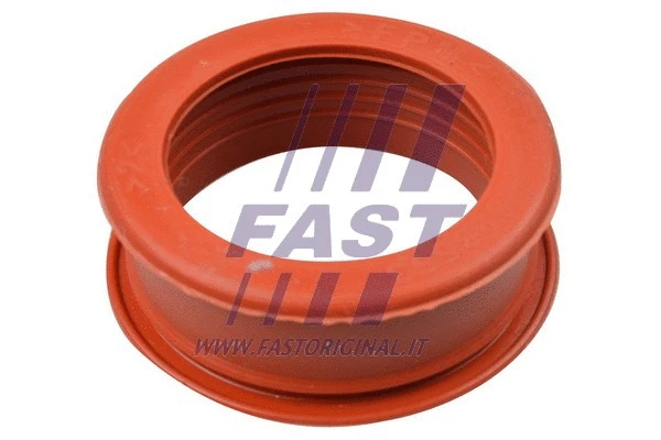 Kompresoriaus padavimo žarna FAST FT61773