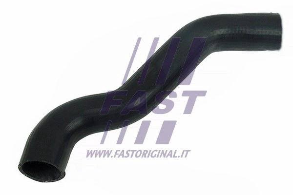Kompresoriaus padavimo žarna FAST FT61783