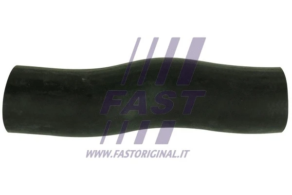 Kompresoriaus padavimo žarna FAST FT61785