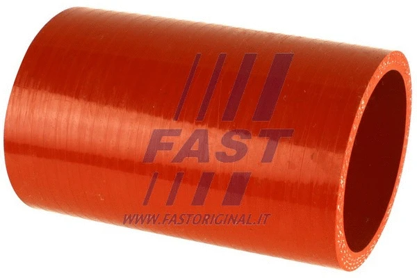 Kompresoriaus padavimo žarna FAST FT61930