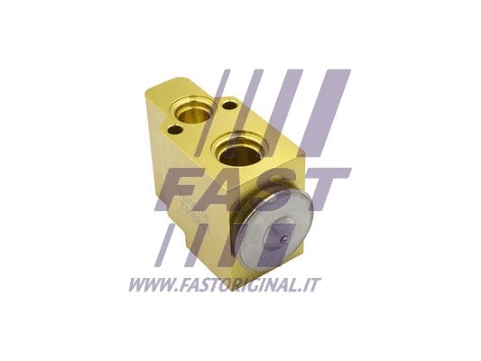 Oro kondicionieriaus išsiplėtimo vožtuvas FAST FT83012