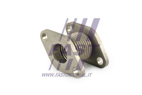 EGR vožtuvo vamzdis FAST FT84303