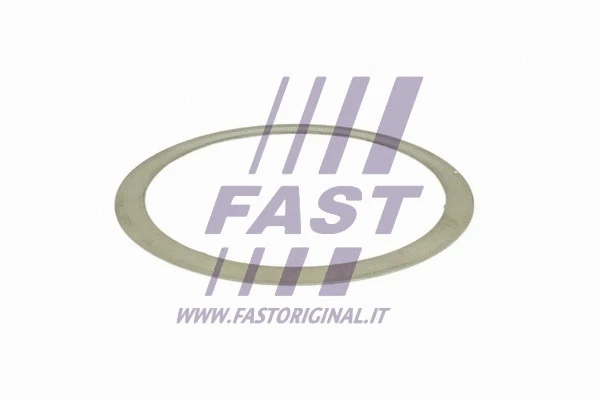 Išleidimo kolektoriaus tarpinė FAST FT84501