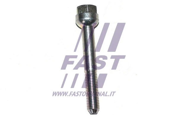 Išmetimo sistemos varžtas FAST FT84538