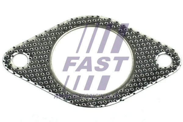 Išleidimo kolektoriaus tarpinė FAST FT84579