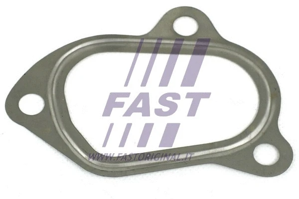 Išleidimo kolektoriaus tarpinė FAST FT84581