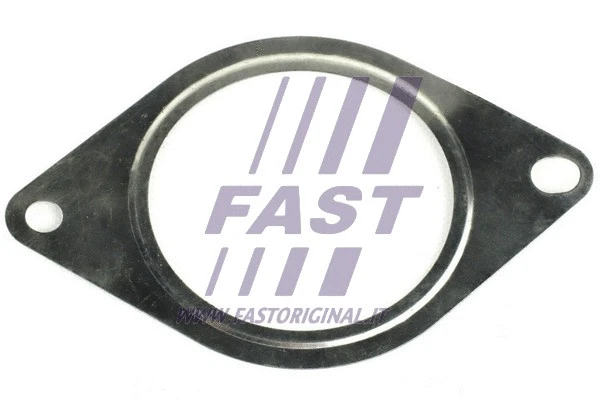 Išleidimo kolektoriaus tarpinė FAST FT84585