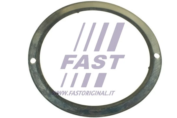 Išleidimo kolektoriaus tarpinė FAST FT84587