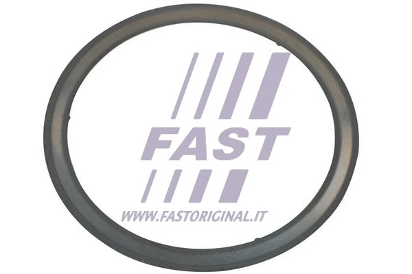 Išleidimo kolektoriaus tarpinė FAST FT84595