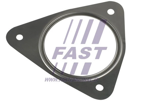 Išleidimo kolektoriaus tarpinė FAST FT84596