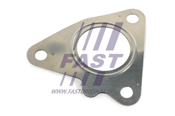 Išleidimo kolektoriaus tarpinė FAST FT84598
