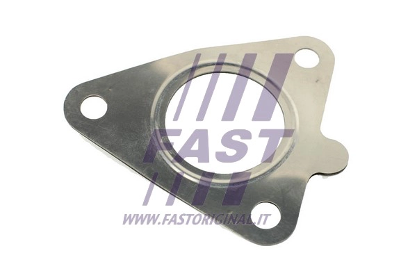 Išleidimo kolektoriaus tarpinė FAST FT84599