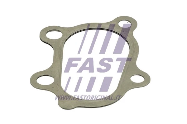 Išleidimo kolektoriaus tarpinė FAST FT84801