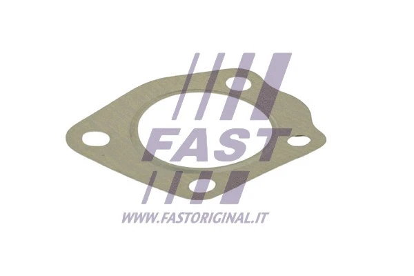 Išleidimo kolektoriaus tarpinė FAST FT84808