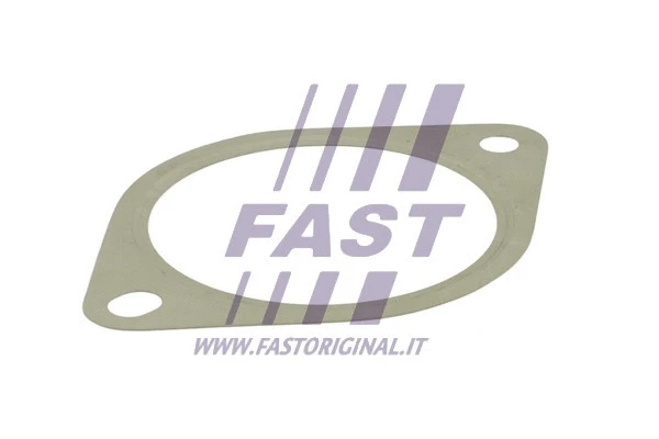Išleidimo kolektoriaus tarpinė FAST FT84809