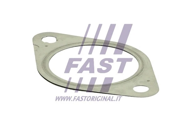 Išleidimo kolektoriaus tarpinė FAST FT84812